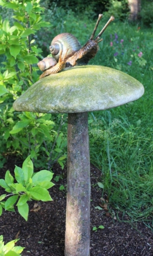 Roland Menten - Waiting for sunshine on mushroom